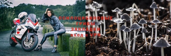 бутират Медногорск