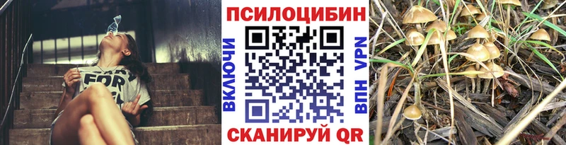 Купить закладки  Слюдянка  Галлюциногенные грибы мухоморы 