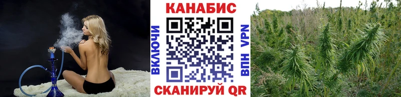Купить  Слюдянка  Бошки марихуана SATIVA & INDICA 